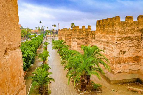 Excursion privée d'une journée à Taroudant oissis Tiout avec déjeuner