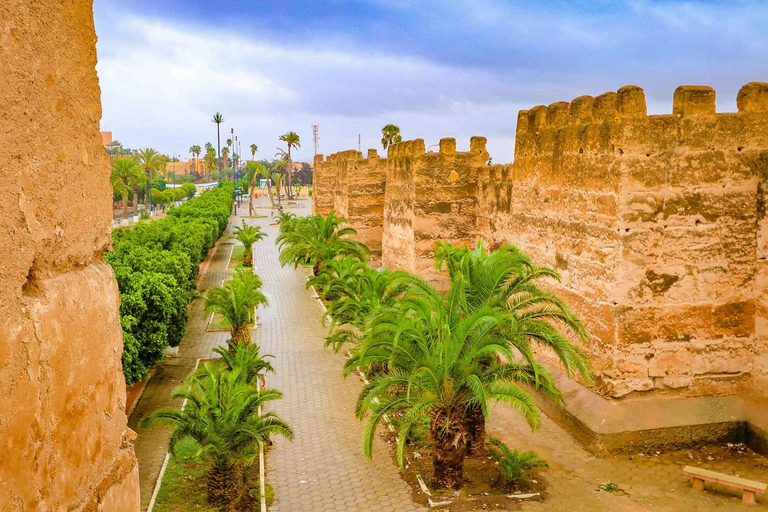 Privédagexcursie naar Taroudant oissis Tiout met lunch