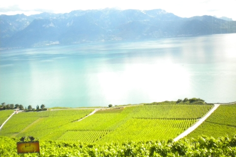 From Lausanne: Swiss Riviera Tour Swiss Riviera Full Package Tour
