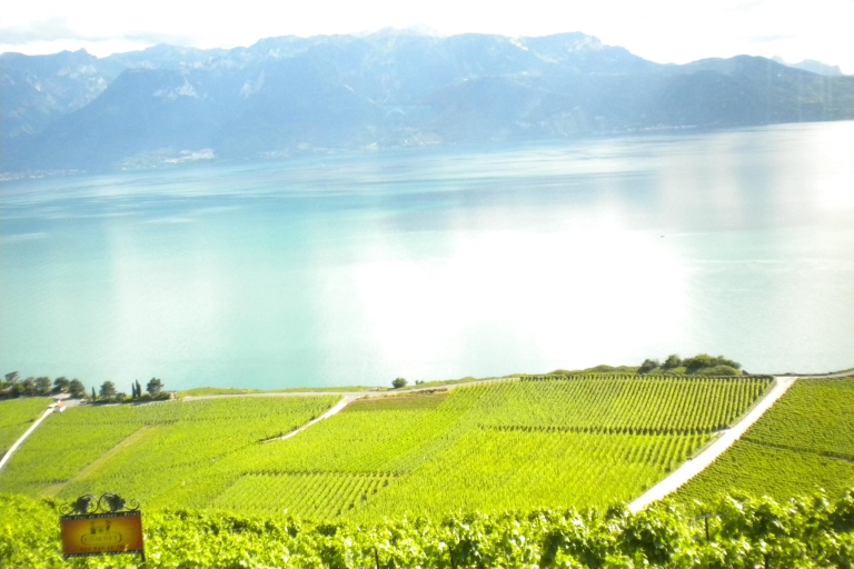 Ab Lausanne: Tour an der Schweizer RivieraSchweizer Riviera Wintertour