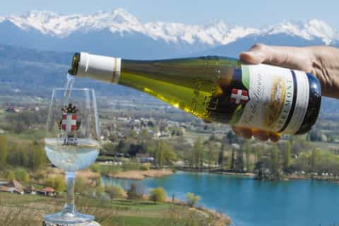 chambéry wine tasting walk with vineyard views