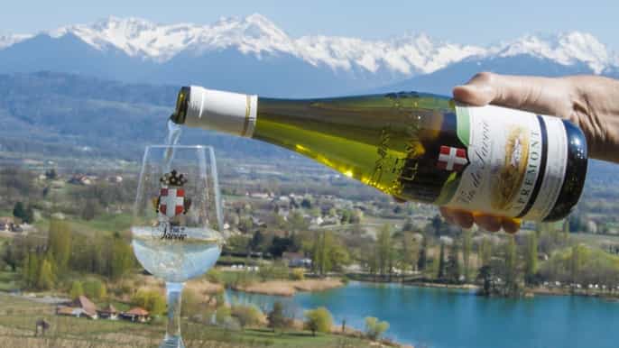 chambéry cata de vinos a pie con vistas al viñedo