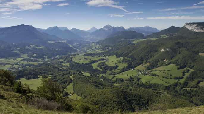 paseo en la cresta de los dientes de los gatos y cata de vinos