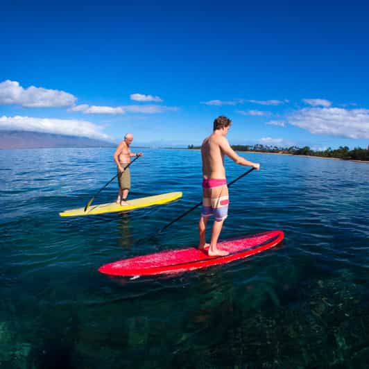 Maui 2stündige StandUp Paddleboard Surfing Lektion GetYourGuide