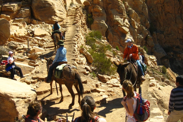 Ganztageswanderung zum Grand Canyon ab Sedona oder Flagstaff