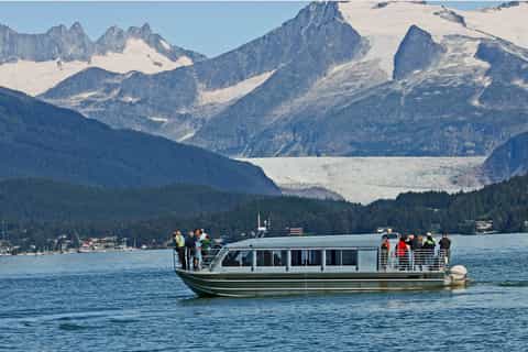 Juneau: Whale Watching Adventure