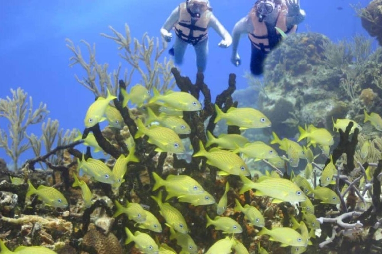 Cancun : Visite du cénote de Cancun et plongée en apnée