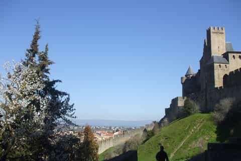 Cité de Carcassonne: Private Guided Tour
