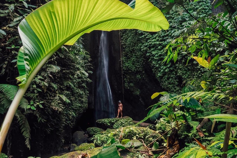 Bali: Private Sangeh Monkey Forest, Temple & Waterfall Tour Without entry tickets