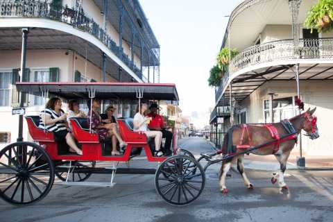 New Orleans: 1-Hour Carriage Ride Through the French Quarter