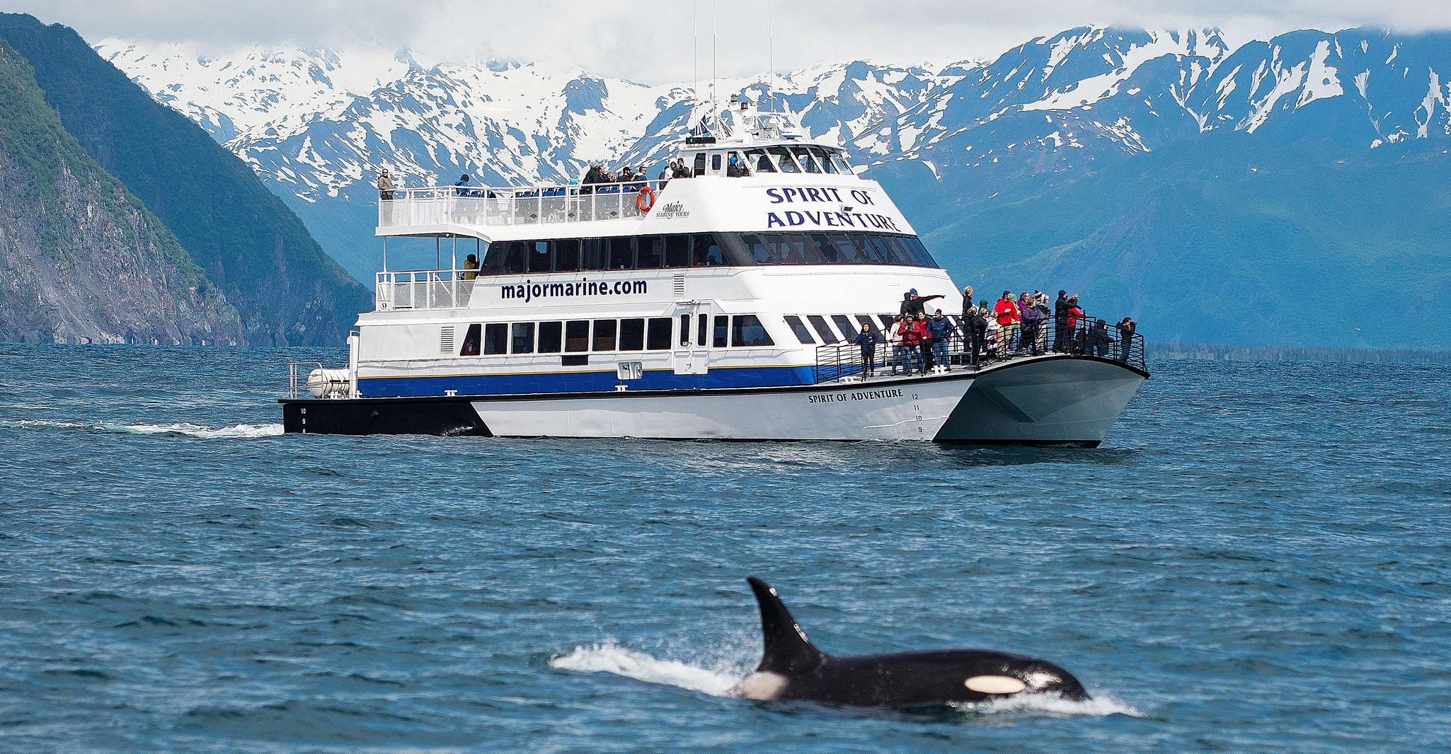 De Seward, croisière dans le parc national Kenai Fjords avec déjeuner - Hizvo