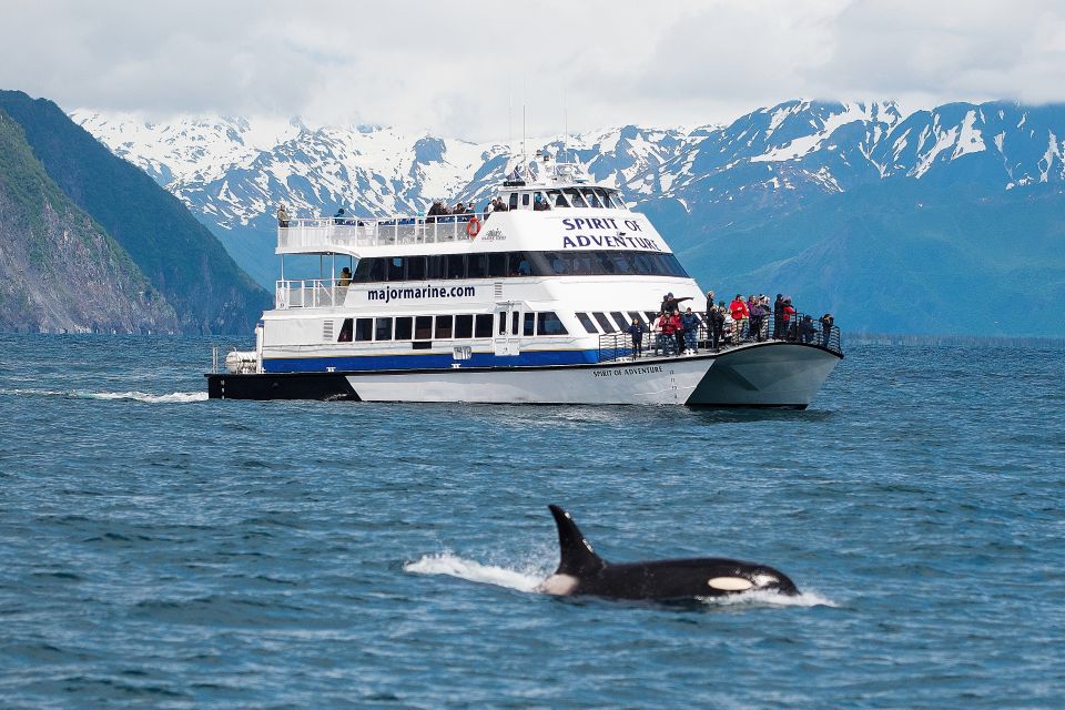 Seward: Kenai Fjords National Park 7.5-Hour Cruise