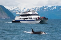 Von Seward, Kenai Fjords National Park Kreuzfahrt mit Mittagessen - Hizvo