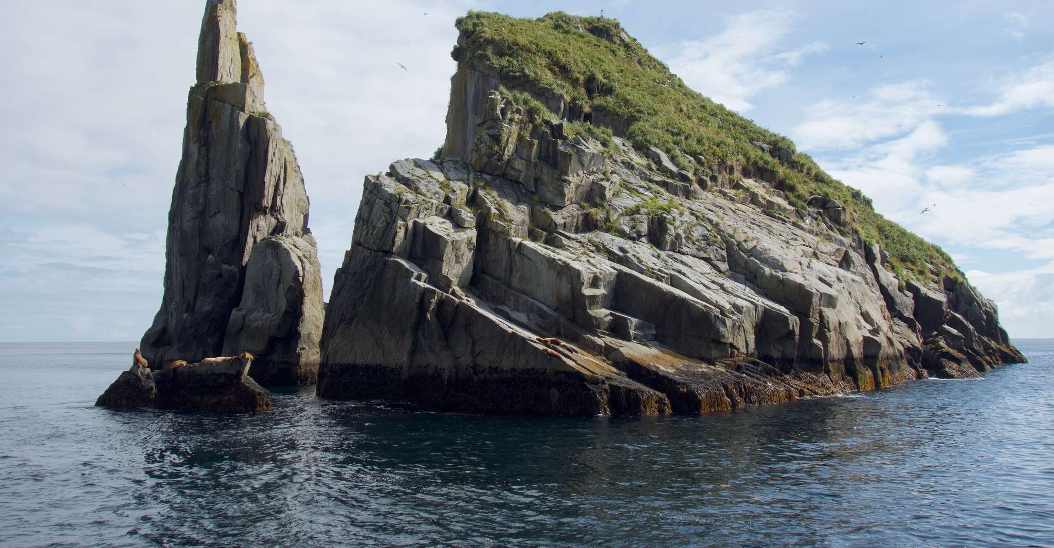 De Seward, croisière dans le parc national Kenai Fjords avec déjeuner - Hizvo