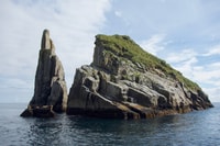 Von Seward, Kenai Fjords National Park Kreuzfahrt mit Mittagessen - Hizvo