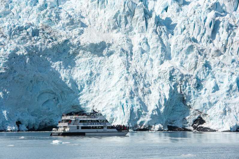 From Seward: Kenai Fjords National Park Cruise with Lunch