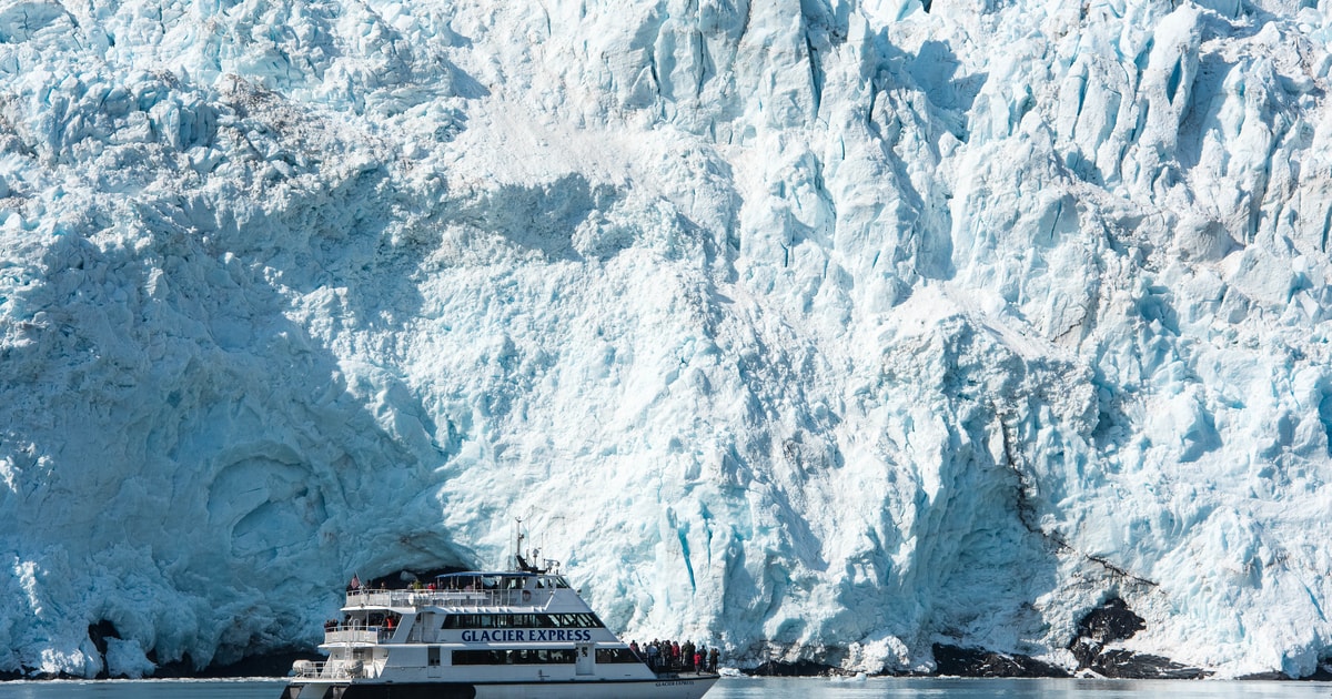 From Seward: Kenai Fjords National Park Cruise With Lunch | GetYourGuide