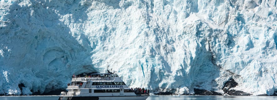 Kenai Fjords National Park, Seward - Book Tickets & Tours | GetYourGuide