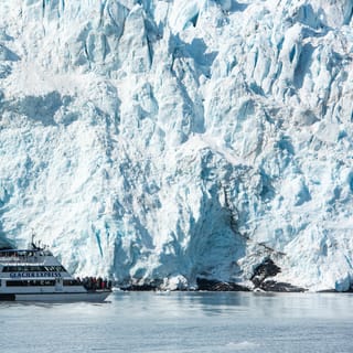 Kenai Fjords National Park, Seward - Book Tickets & Tours | GetYourGuide