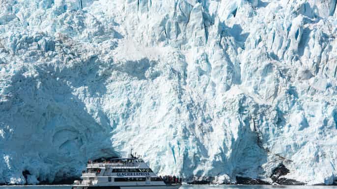 seward kenai fjords national park 7.5hour cruise