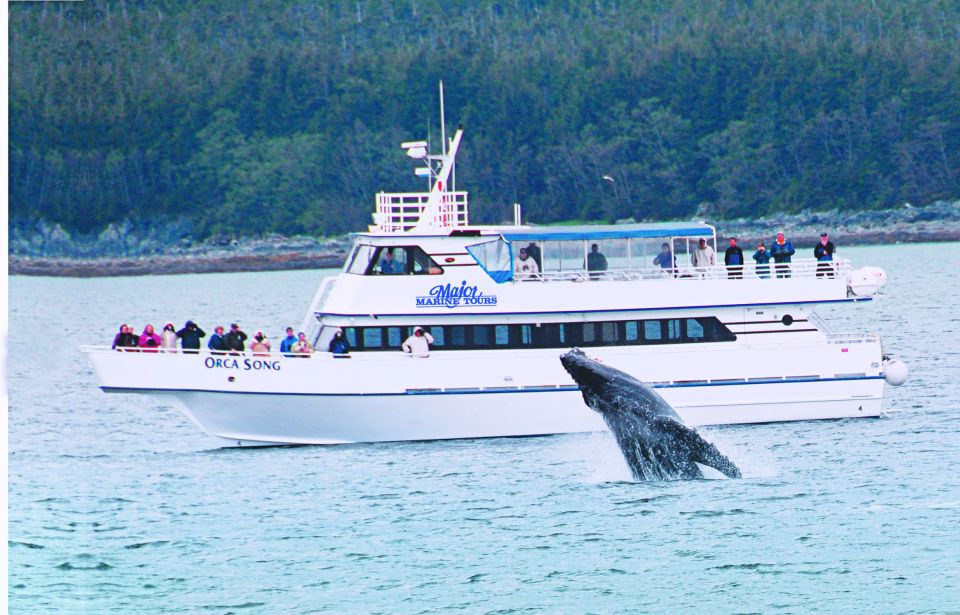 Seward: Kenai Fjords Half Day Wildlife Cruise 