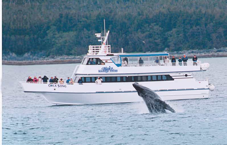 From Seward: Half-Day Resurrection Bay Wildlife Cruise Tour | GetYourGuide