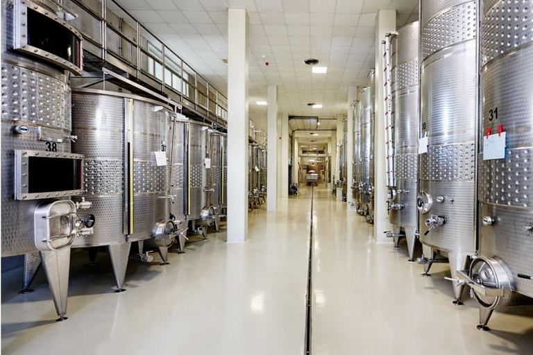 Izmir: Urla Wine Tasting and Vineyard Tour Self Arrival Tasting and Vineyard Tour