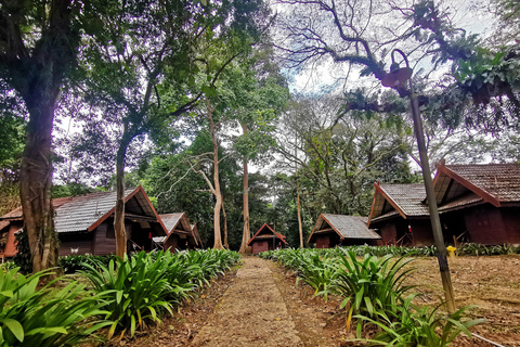Kuala Lumpur: Taman Negara Tour w/Lata Berkoh Falls & Lunch Pickup Within KL City Centre Area Only