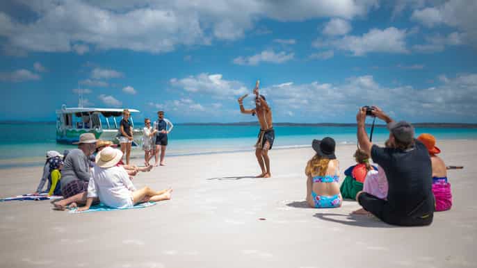 hervey bay turtle discovery eco tour cultural experience