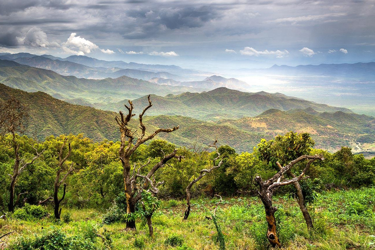 Z Addis Abeby: 6-dniowa wycieczka do Chebera Churchura i Halla Kella