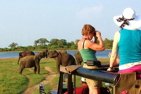 Von Udawalawe aus: - Aufregende Ganztagessafari im Nationalpark