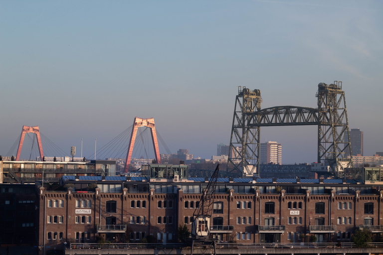 Rotterdam: Fahrradtour zu den Highlights