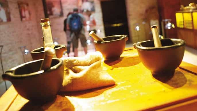 dijon france mustard making class