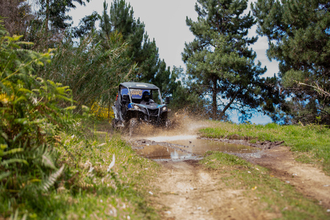 Madère : Trail Thrill Buggy Tour