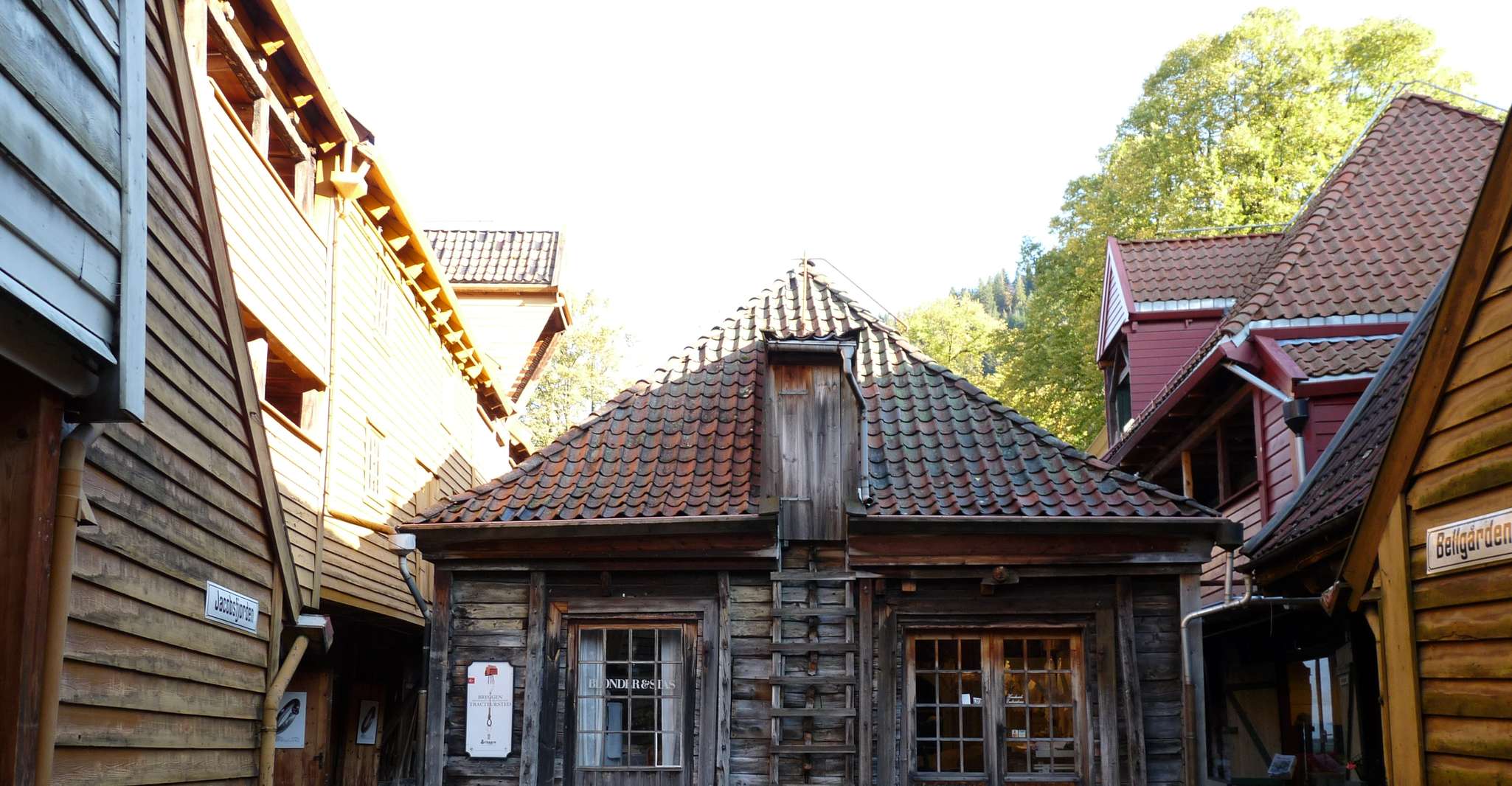 Bergen, City Tour a piedi - Hizvo