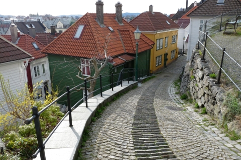 Bergen : visite de la ville à piedVisite en allemand