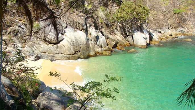 puerto vallarta los arcos snorkel beach private boat tour