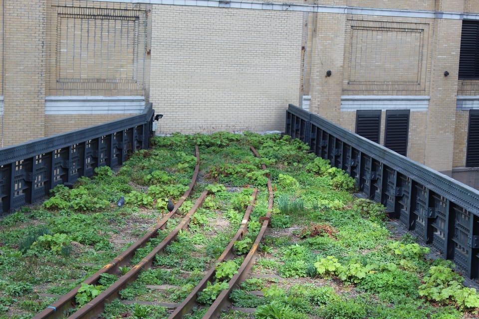 Meatpacking District Chelsea Market and The Highline Tour GetYourGuide