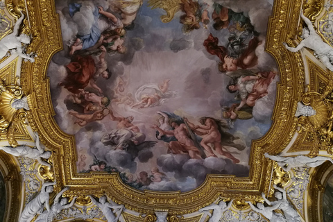 Florence: Pitti Palace and Palatina Gallery Ticket and Tour Tour in English