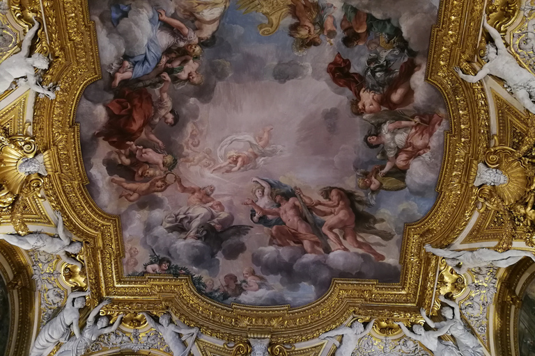 Florence: Pitti Palace and Palatina Gallery Ticket and Tour Tour in English