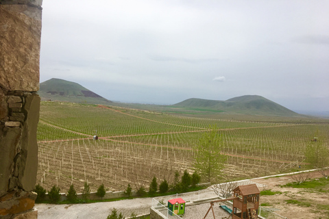 Armenia: Fiesta del Vino, Brandy y Cangrejos.