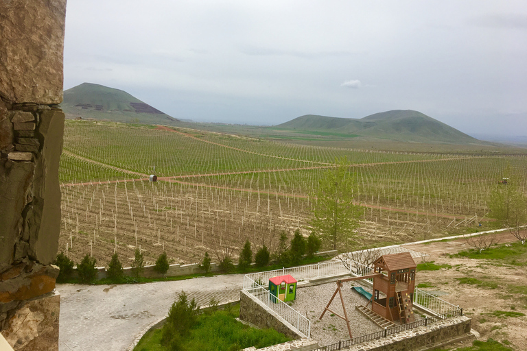 Armenia: Fiesta del Vino, Brandy y Cangrejos.