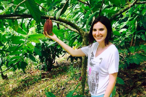 Indigenous Cacao Tour in Bocas del Toro