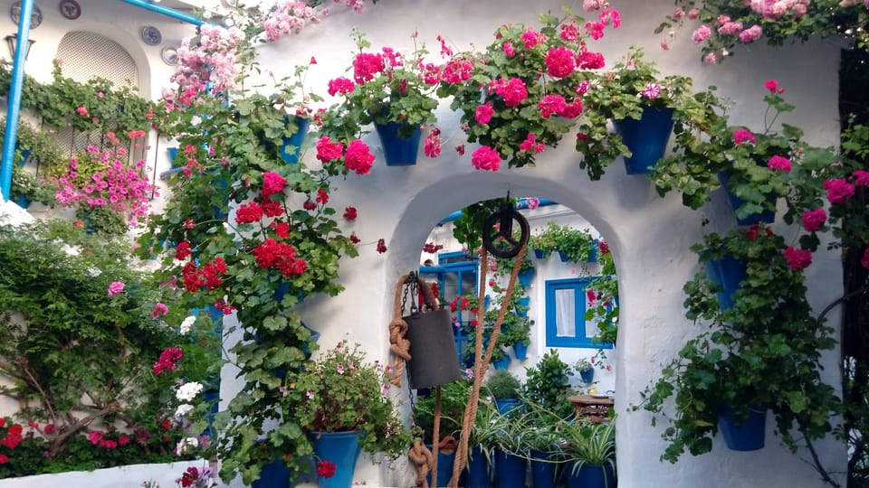 Córdoba, Patios Tour especial de Navidad a pie en español - Hizvo