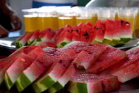 Akamas Panorama, tour privato in autobus con guida locale - Housity