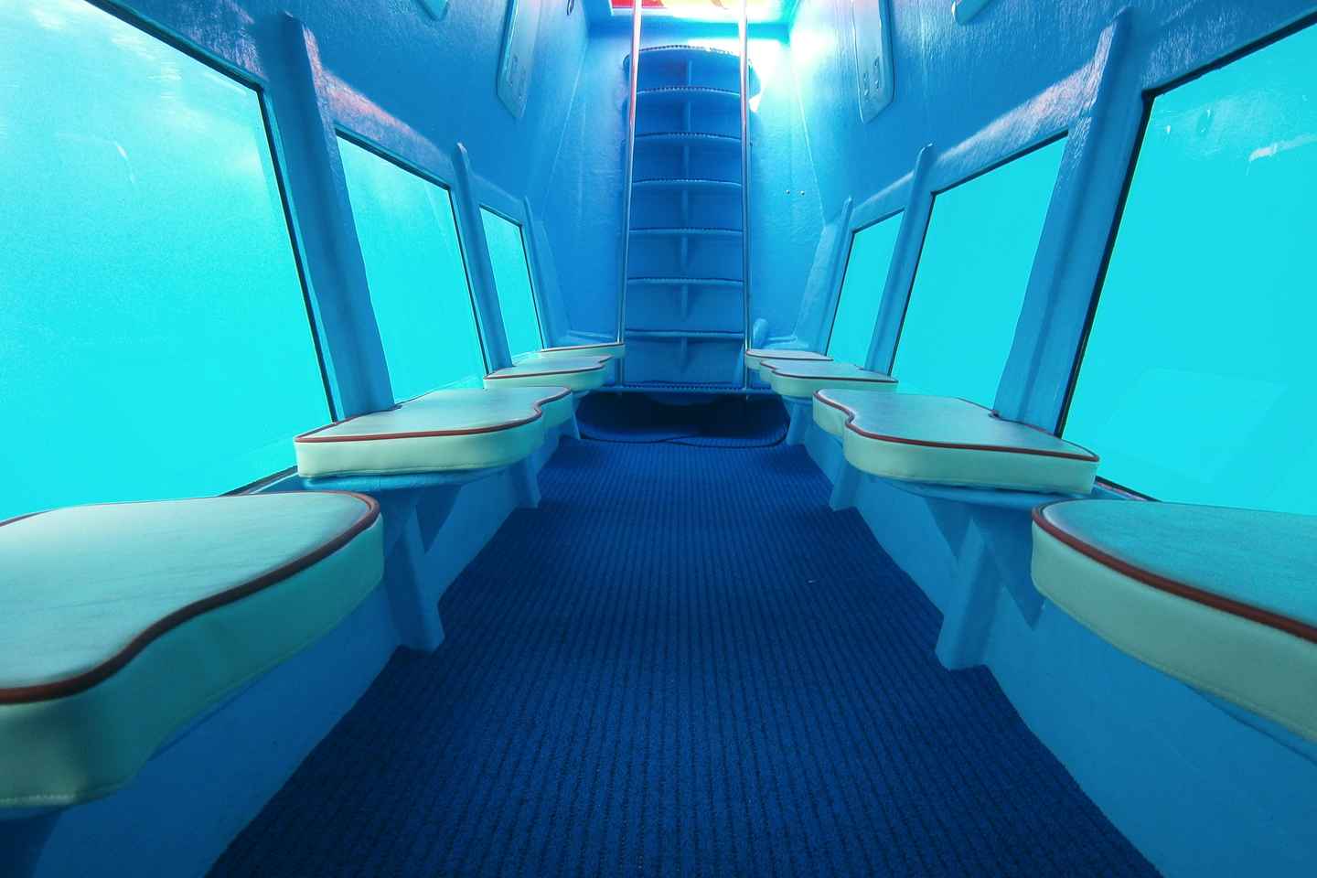 Kotor: Útsýni og neðansjávarævintýri