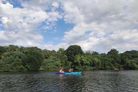Kayaking in Backwaters of Pondicherry