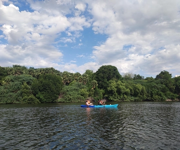 Kayaking in Backwaters of Pondicherry