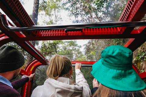 From Sydney: Blue Mountains, Scenic World All Inclusive Tour