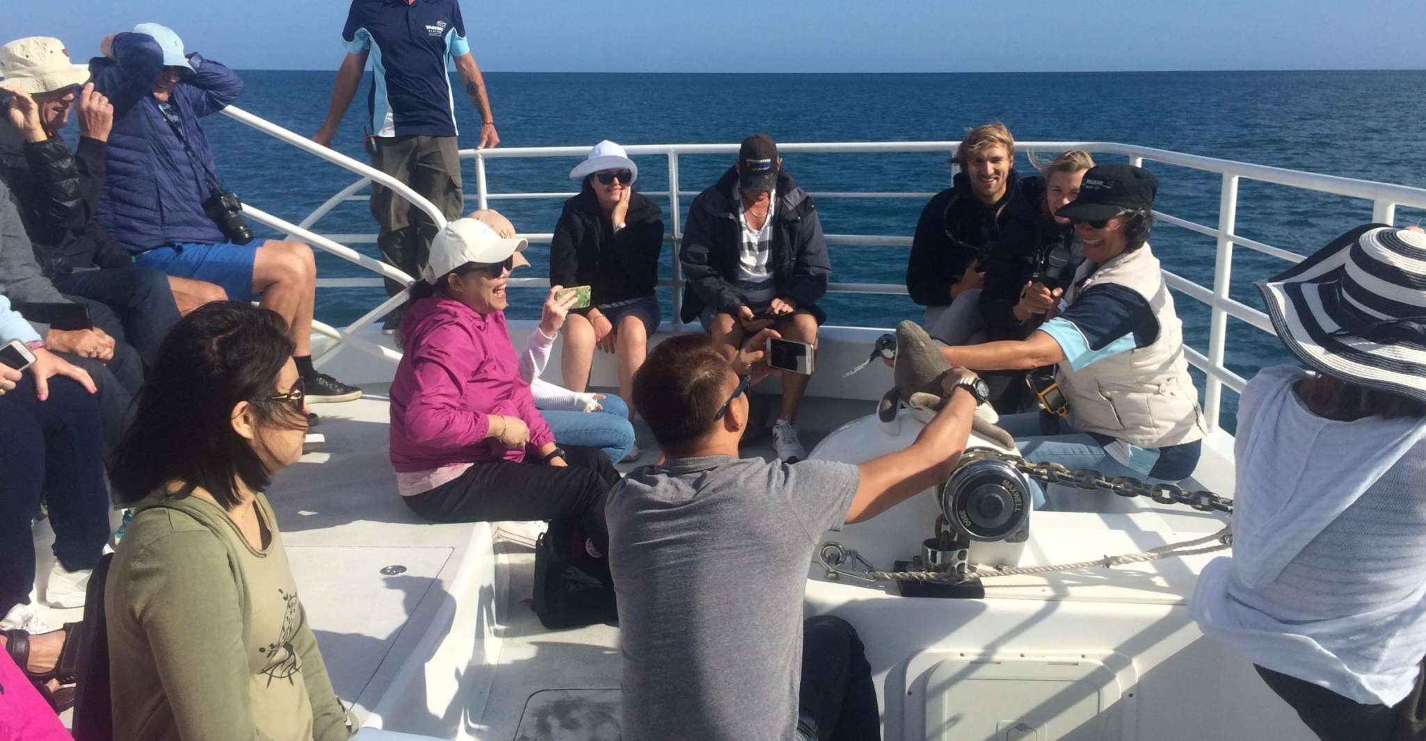 Hervey Bay, Half-Day Whale Watching Experience - Housity